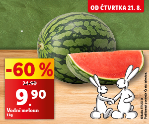 Vodní meloun, cena za 1 kg akčních 9,90 Kč.
