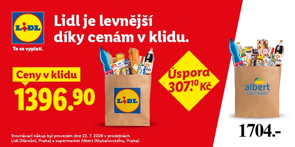 Reklamní banner Lidl: Srovnání cen nákupu v Lidlu (1 396,90 Kč) a v Albertu (1 704 Kč) s vyobrazením plných papírových tašek a uváděnou úsporou 307,10 Kč.