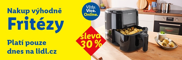 Sleva 30 % na kategorii Fritézy.