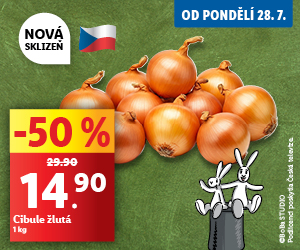 Na obrázku je několik cibulí. Cibule leží před zeleným pozadím. V popředí jsou postavičky Boba a Bobka. Cena za 1 kg je 14,90 Kč.