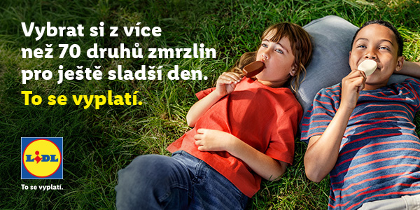 Nabídka zmrzlin v Lidlu.